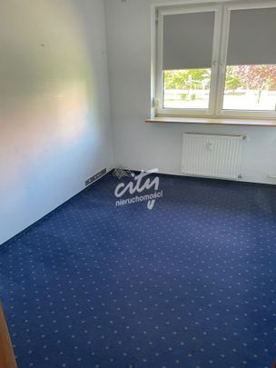 Mieszkanie | Wynajem - Zdjęcie 1