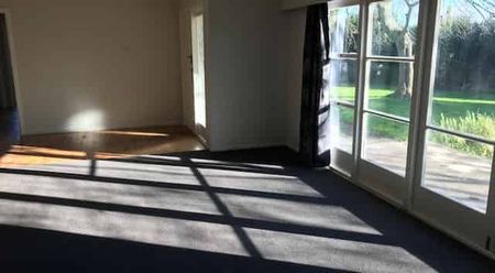 Spacious Four Bedroom Home on Large Section - Photo 4