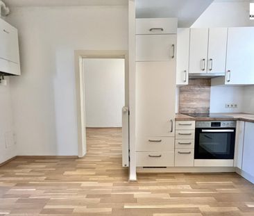 360° TOUR // NUSSDORFER ALTBAUWOHNUNG - Foto 2