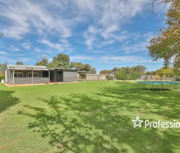 61 Wilga Avenue, Gol Gol NSW 2738 - Photo 2