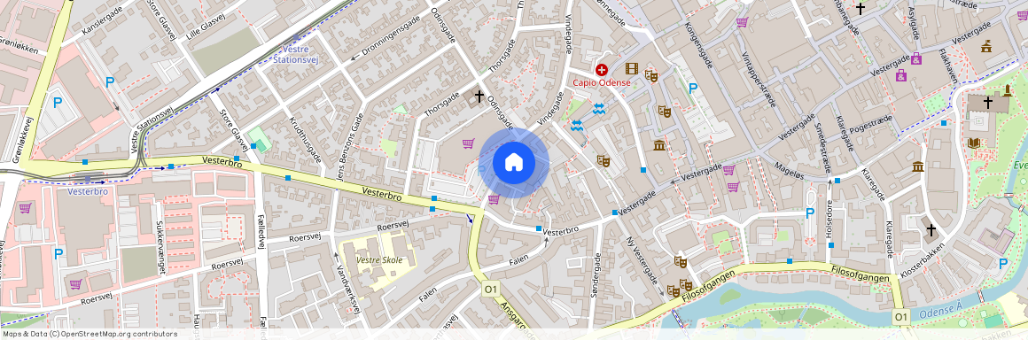 Vindegade 124F, 5000 Odense C