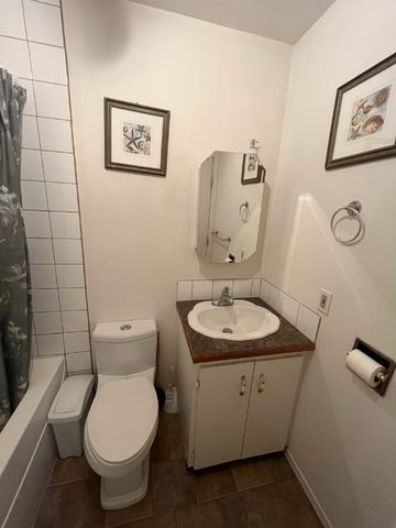 ROBINSON 4-PLEX - 2 - Photo 4
