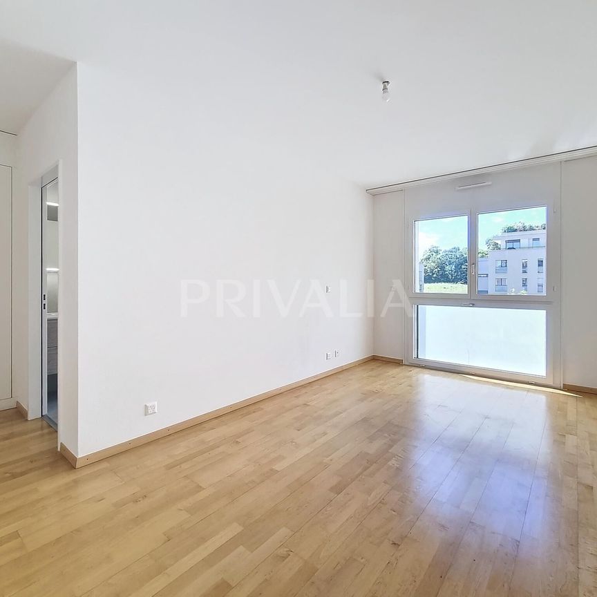 Beautiful 6,5 rooms flat with garden of 194 m2 - Foto 1