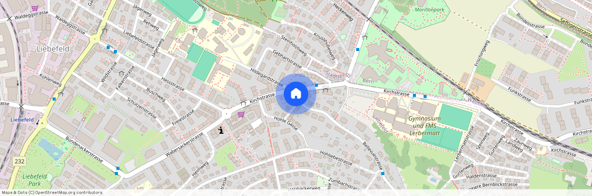 3095, Spiegel b. Bern, Bellevuestrasse, 2