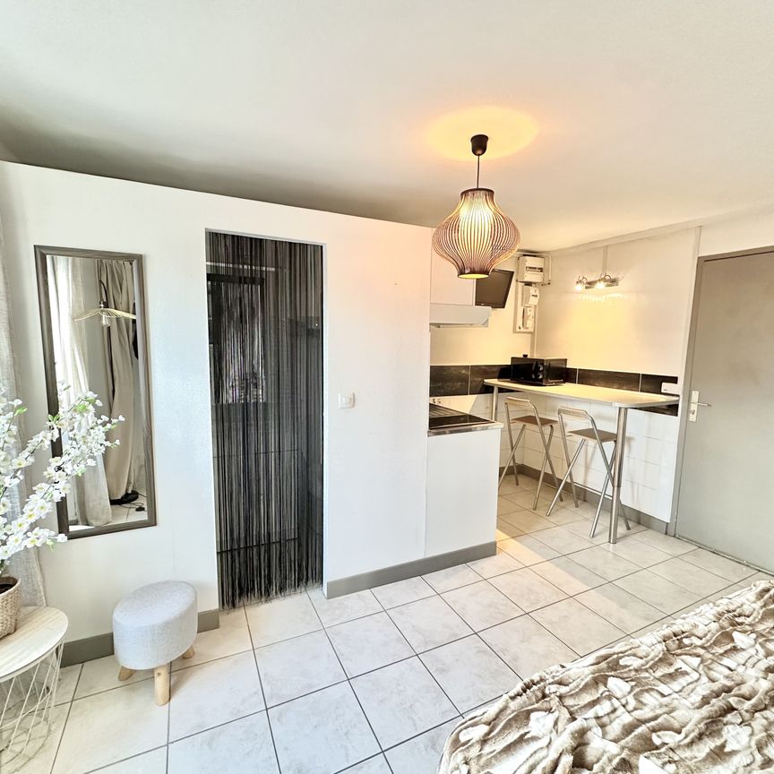 Location Appartement 1 pièce 15m² GRENOBLE 38000 - Photo 1