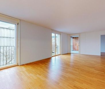 En pleine campagne - au milieu de Zurich - Photo 5