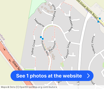 Blackthorn, STAMFORD - Photo 1