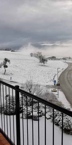 Nice 4.5 room apartment for rent - Photo 1