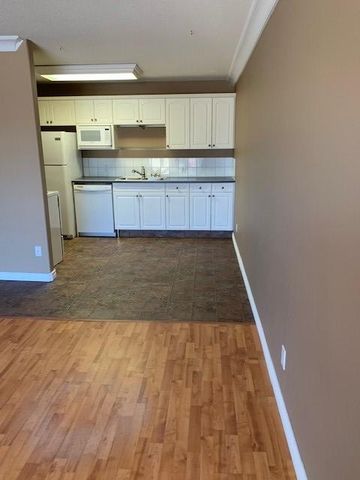 1 Bedroom Apartment w/ In-Suite Laundry!!! - Photo 3