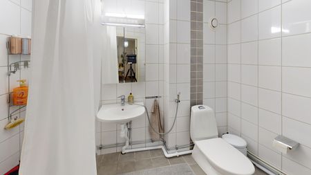 Södra Stenbocksgatan, Helsingborg - Photo 5
