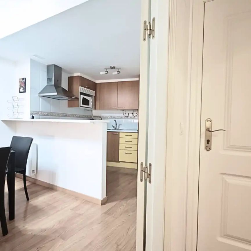 Apartamento de alquiler en Calle de Ramón Pignatelli, 46, Plaza de Toros - Foto 1