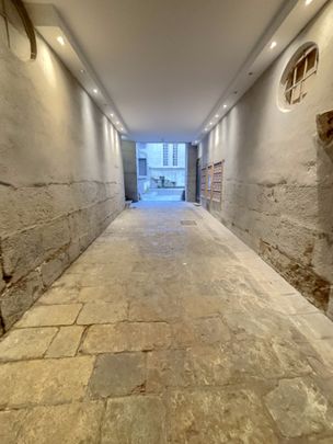 Location Appartement 1 pièce 19m² GRENOBLE 38000 - Photo 1