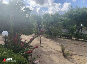 Μονοκατοικία για ενοικίαση - Παλαιά Φώκαια - Photo 4