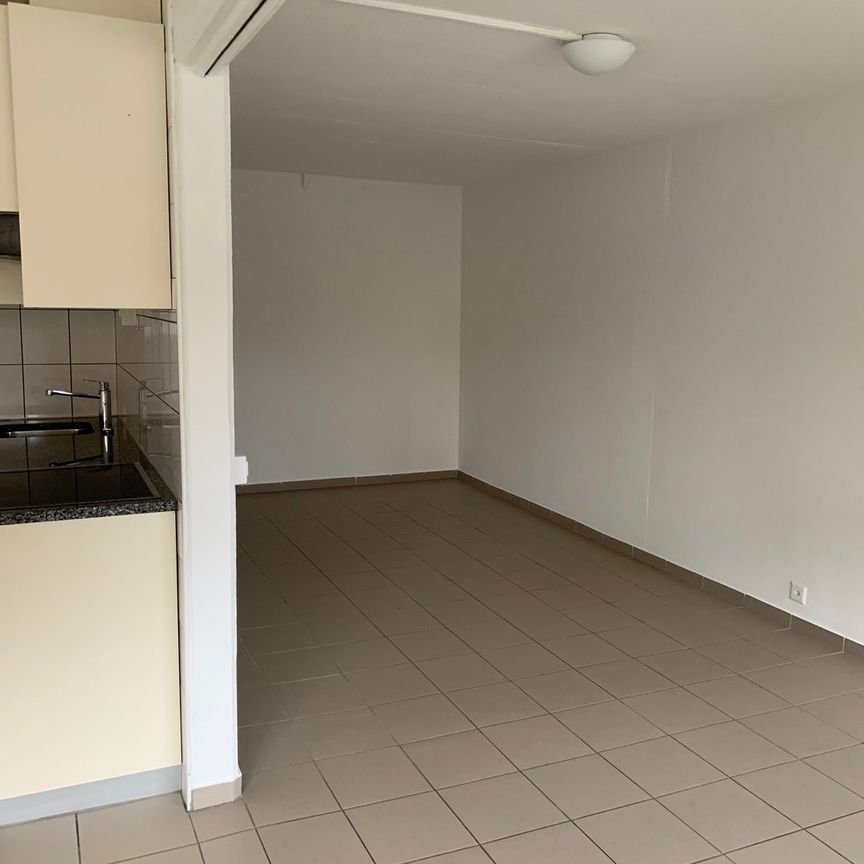 Appartement 2,5 pièces dans le quartier du Jura - Photo 1