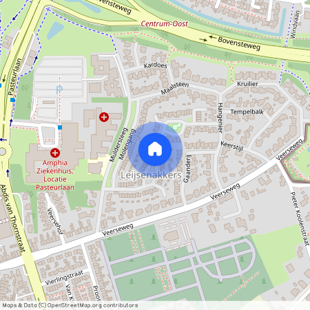 Molenbuurt, 4901 ZW, Wiekslag, Oosterhout