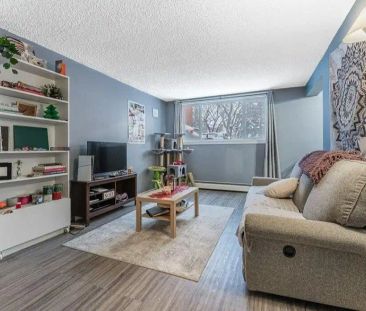 Bright and cozy one bedroom apartment directly across from Paul Kane Park — 1 Bedroom Condo Unit - Photo 1