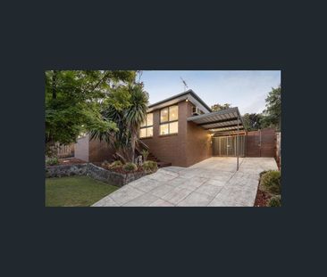 Treetop Views in a Convenient Locale - Photo 1