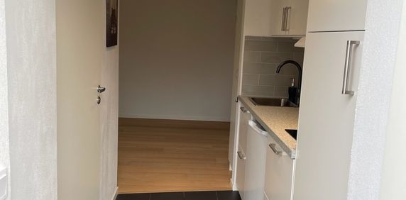 Sallerupsvägen, Eslöv - Foto 2