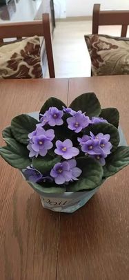 Carrer del Príncep Jordi, Barcelona, Catalonia 08014 - Photo 1