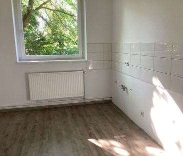 Frisch renovierte 3-Zimmer-Wohnung am Sonnenhügel - Photo 4