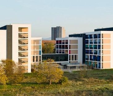 Möbliertes Zimmer in 2er WG Campo Novo Mannheim 01.12.25-31.03.26 - Foto 1