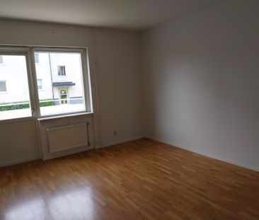 Petreplan 13A - Photo 2