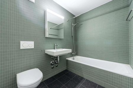 Looking for a unique apartment in Birsfelden? - Photo 4