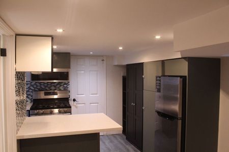 For Lease - 263 Grace Street Unit# Lower, Toronto, Ontario - Photo 4