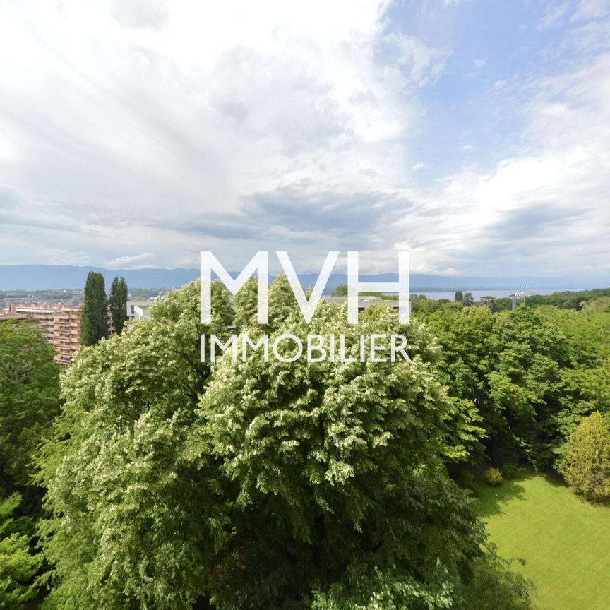 Renovated apartment 9th floor with view Jet d'eau and Montblanc - Photo 1