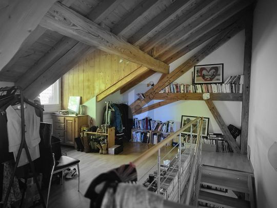 MAGNIFIQUE TRIPLEX AVEC VUE SUR LE LAC - Photo 1