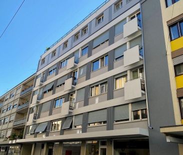 A saisir ! Charmant studio au coeur de Genève ! - Photo 1