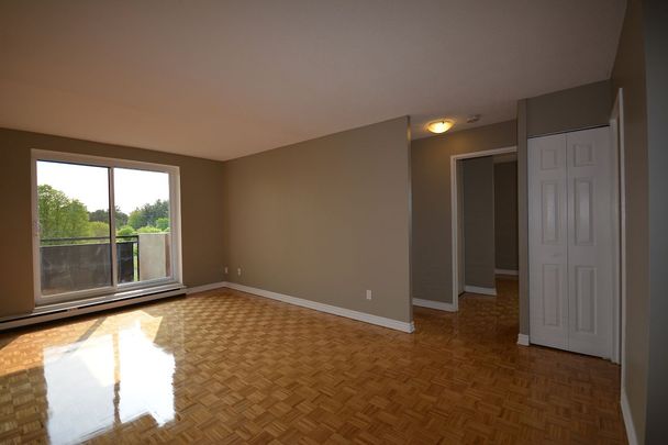 Minutes to Bayshore Shopping Centre; Easy Access to the Queensway - Photo 1