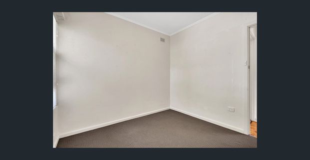 Hi, I'm a Renovated Unit Drenched in Sunlight... - Photo 1