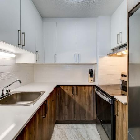 Appartement 3½ à louer – 1 250$/mois 3½ ---- Apartment for Rent – $1,250/month - Photo 4