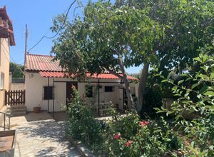 Μονοκατοικία για ενοικίαση - Κηφισιά, - Photo 5