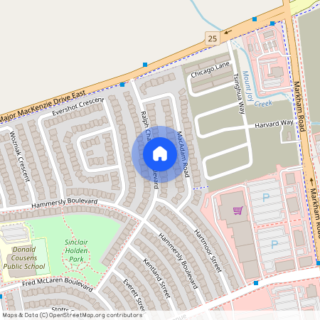 51 Ralph Chalmers Avenue, Markham