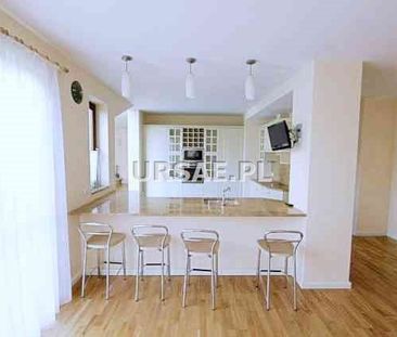 Warszawski, Warszawa, Wilanów, Kostki Potockiego - Photo 4