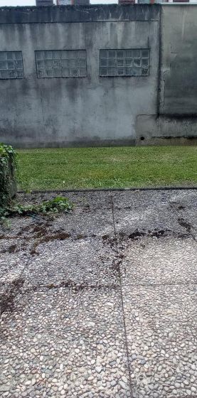 Appartement T1 à louer à Sallanches - Photo 1