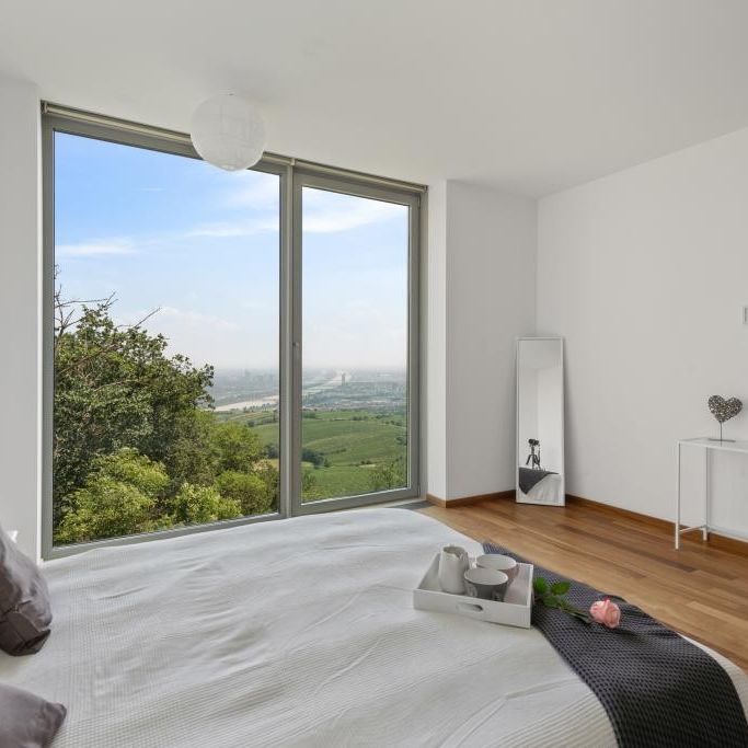 Luxus-Penthouse inmitten der Vienna Hills - traumhaftes Stadtpanorama - Photo 1