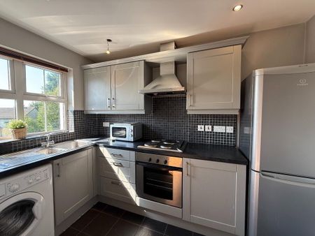 85 Birch Hill Meadows, Antrim, BT41 2TY - Photo 4