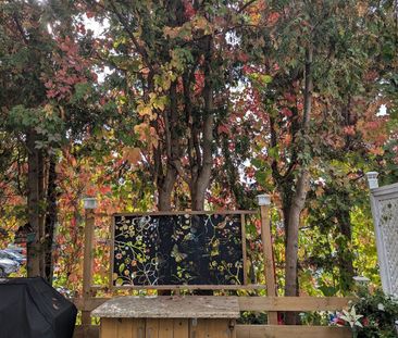 For Lease - 176 John Street, Bradford West Gwillimbury, Ontario - Photo 3