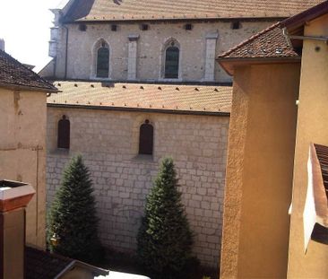 Location Appartement 2 pièces 30m² ANNECY 74000 - Photo 4