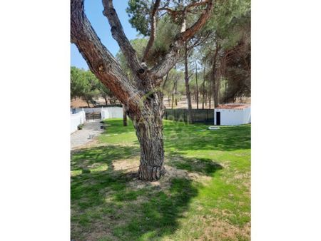 5 bedroom luxury House for rent in Ferrarias, Loulé, Distrito de Faro - Photo 3