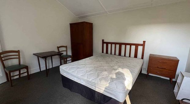 Large bedroom with kitchen in Mt Vic - Photo 1