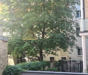 Ruhige Hoflage mit viel Licht - Photo 4
