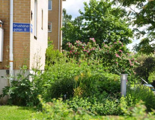 Brushanegatan 8B - Foto 1