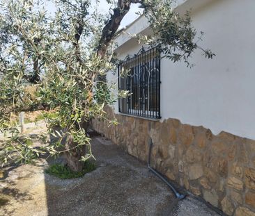 Finca rústica de alquiler en Camino de Coín, Centro ciudad - Photo 4