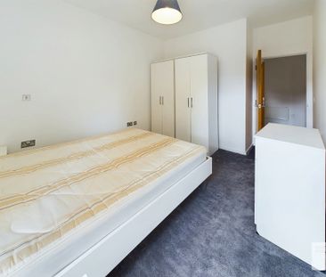 Apt 4.05 :: Ice Plant - Photo 6