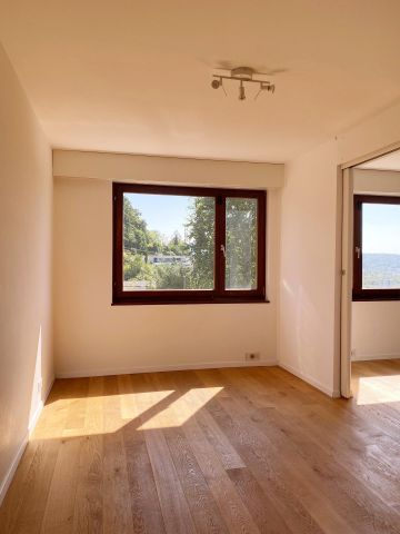 Freistehendes Einfamilienhaus mit spektakulärer Aussicht - Photo 3