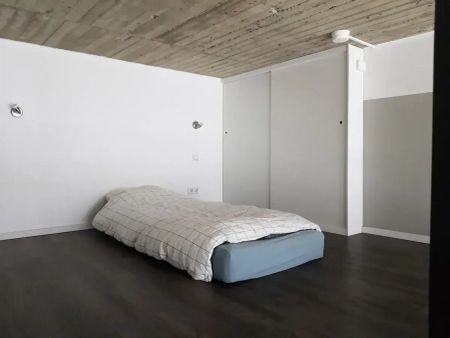 Studio Adelbert van Scharnlaan, Maastricht - À louer - Photo 3
